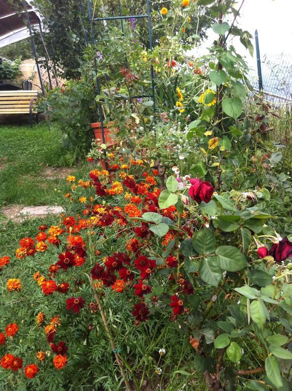 B&B Alba Sul Lago Pergine Valsugana Dış mekan fotoğraf